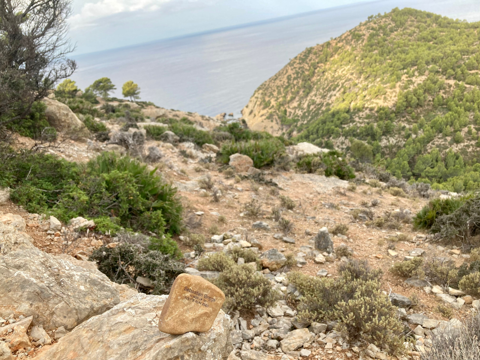 A mini-Boris on holiday in Mallorca!